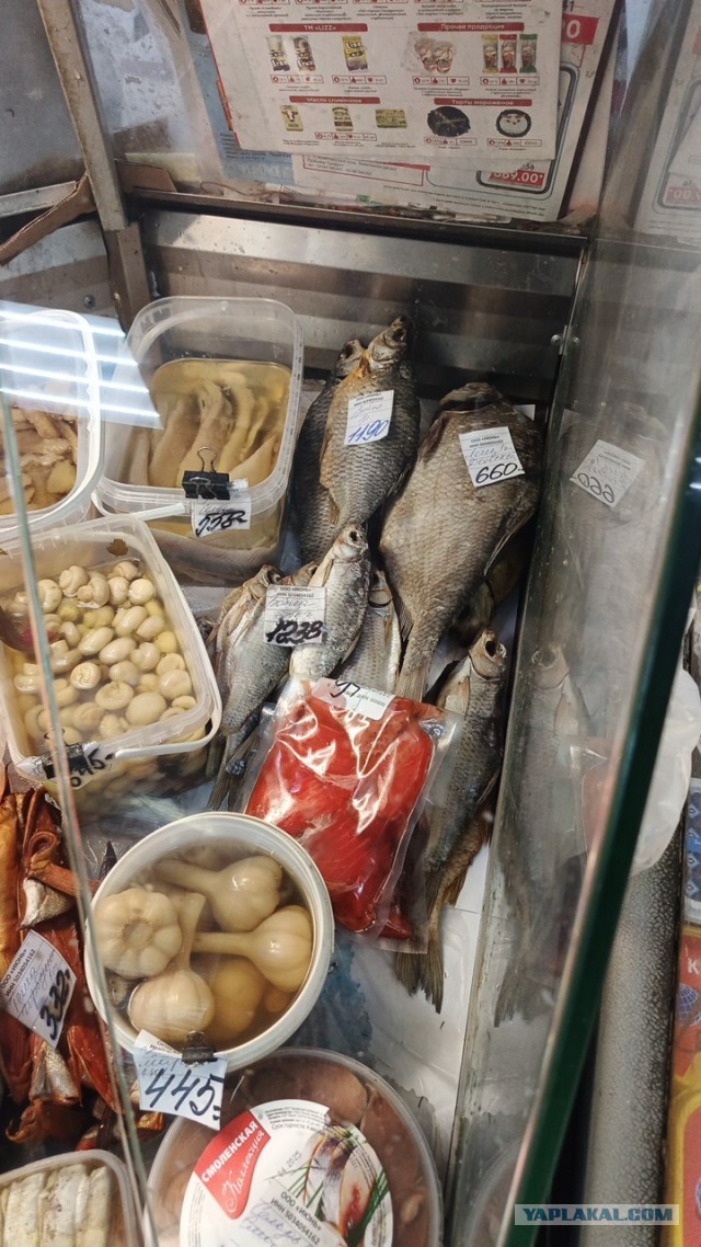 Что со скумбрией? Неурожай?