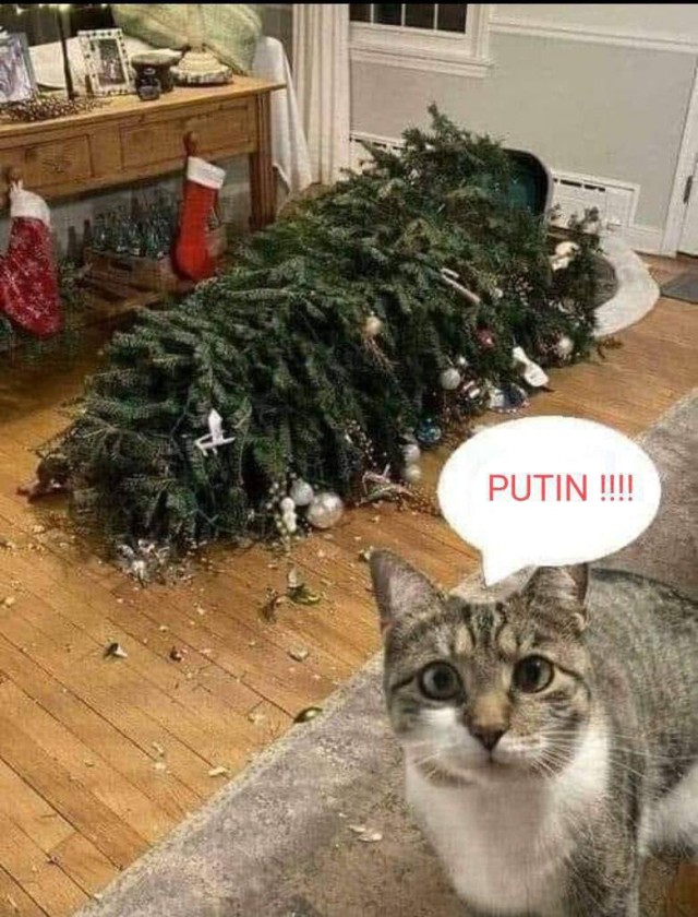 Это всё он!