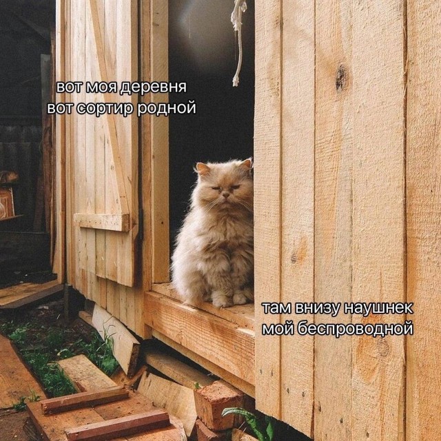 20128262.jpg