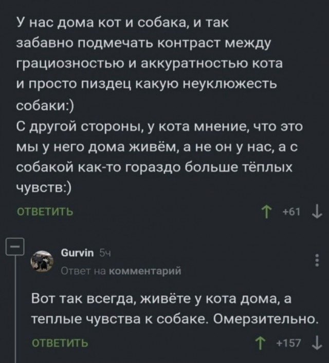 Веселое настроение в картинках (30.07.2025)