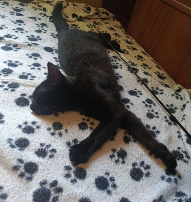 Его первый вторник