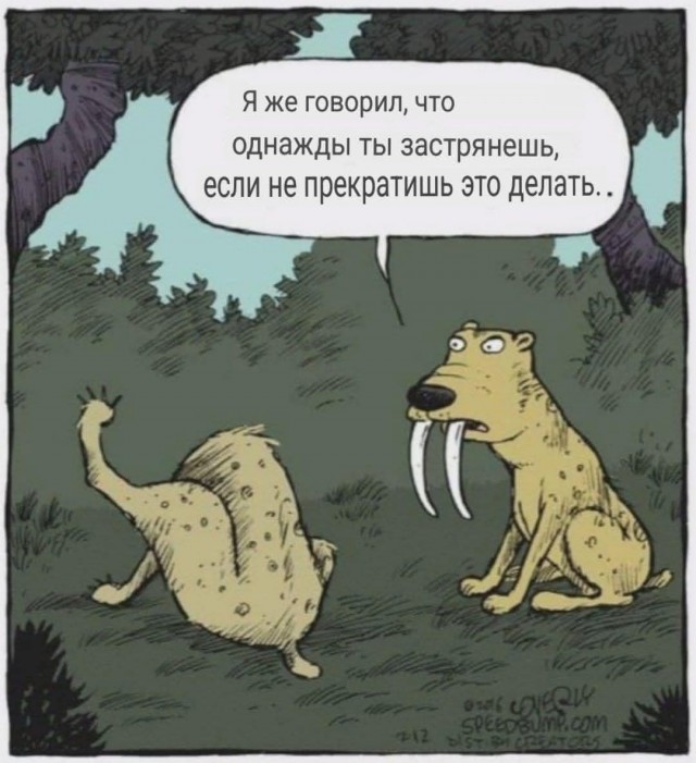 Маленькая пятница 6.08.25