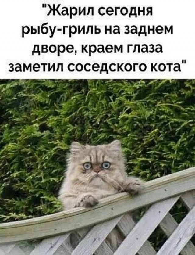 Так себе картинки 07.09.25