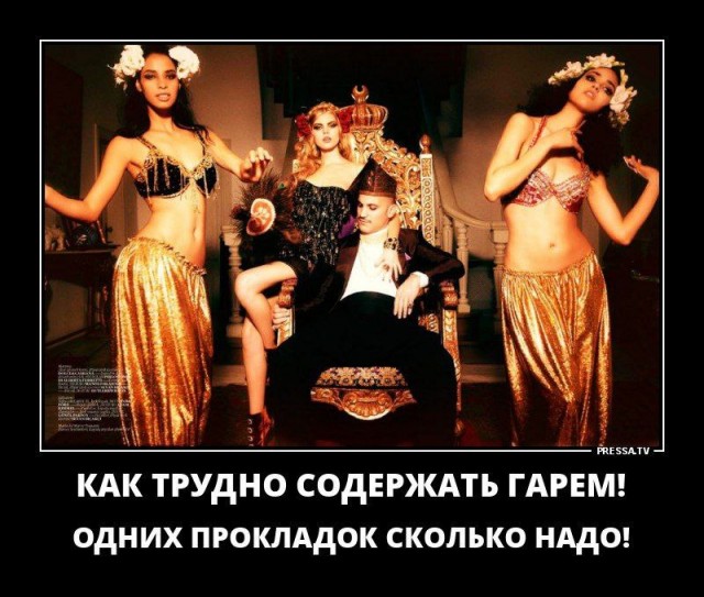 Забавные и не очень скромные картинки - 11