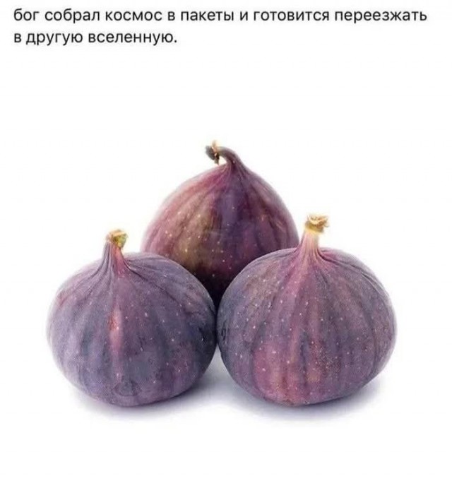 Воскресные картинки