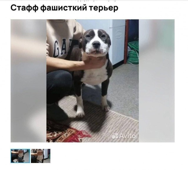 Е@анина. Е@ейшая!