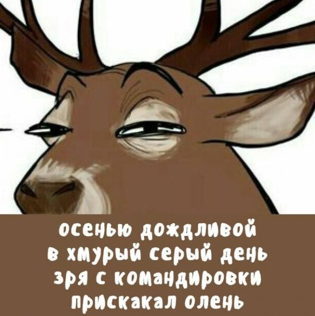 Картинки для деградации 96 (разной степени свежести)