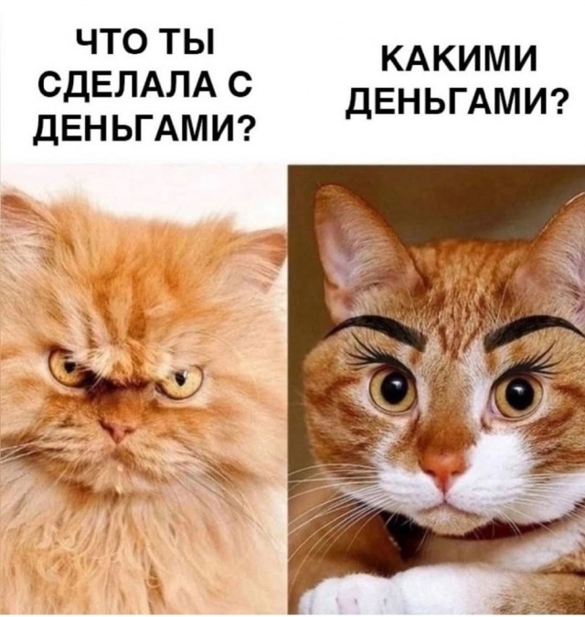 Воскресные картинки