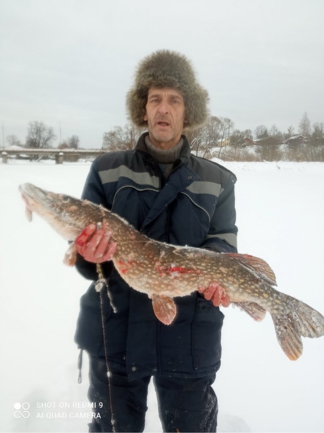 Рыбные дни