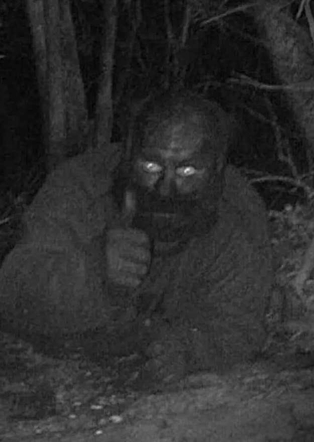 Хорошо жить в лесу!