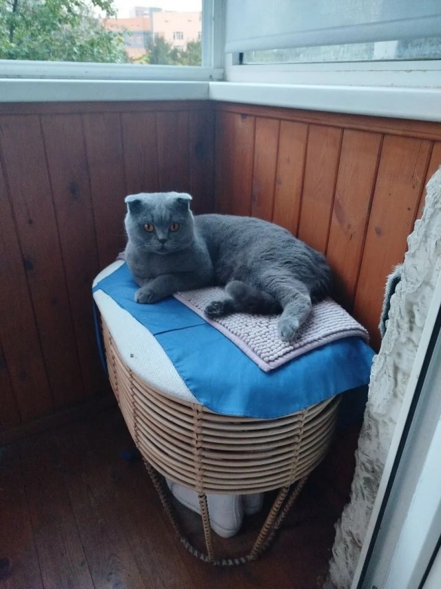 Котское.