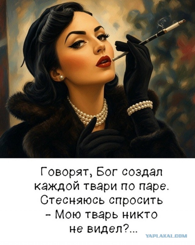 Так себе картинки 03.09.26