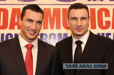 Нокаут из 90-х: немецкие читатели в шоке