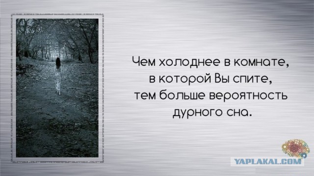 Неизвестные факты обо всём
