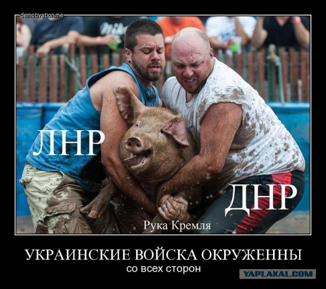 Скандинавов, Поляков, Прибалтов утопили в говне