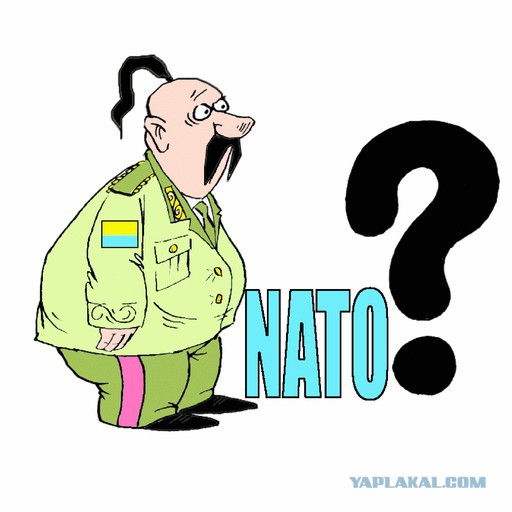 Засуетились супостаты. Вслед за Байденом прилетели