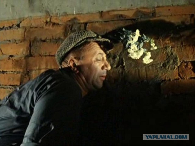 Ремонт в комнате 21 кв. м.