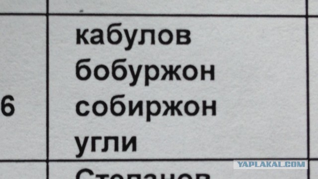 Весело приходится жить людям
