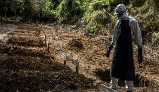 Куда делась Эбола?