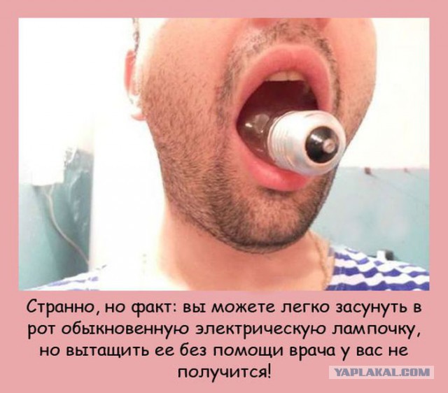 Интересные факты о разном