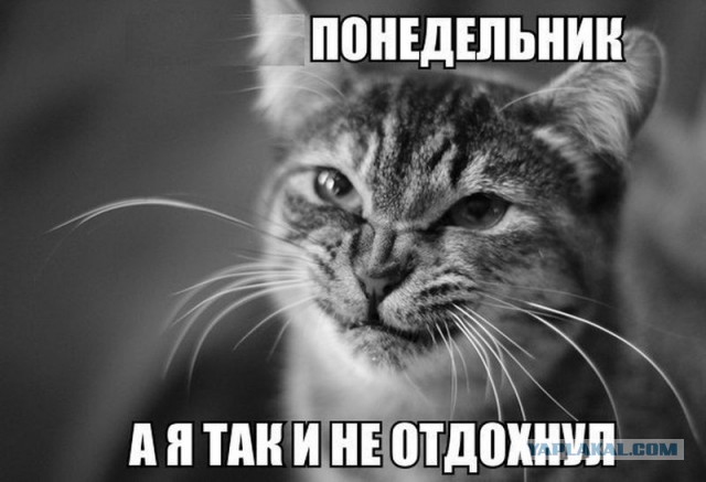 Депрессивный понедельник