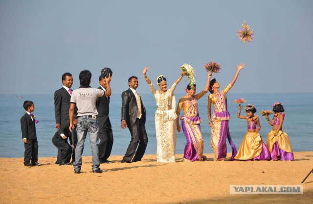 Самостоятельное путешествие в Шри-Ланку