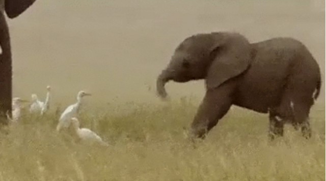 Если бы девочки стали мальчиками на один день