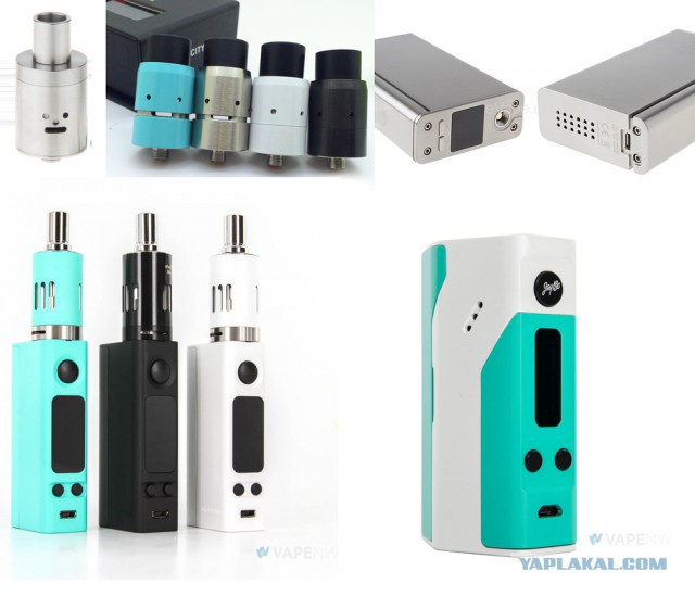 Они живые. Они смотрят на нас!