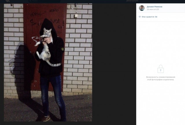 Во Владимире подростки сняли на видео жестокое убийство котёнка