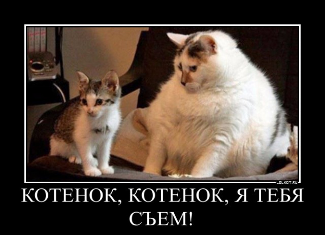 Разные картинки