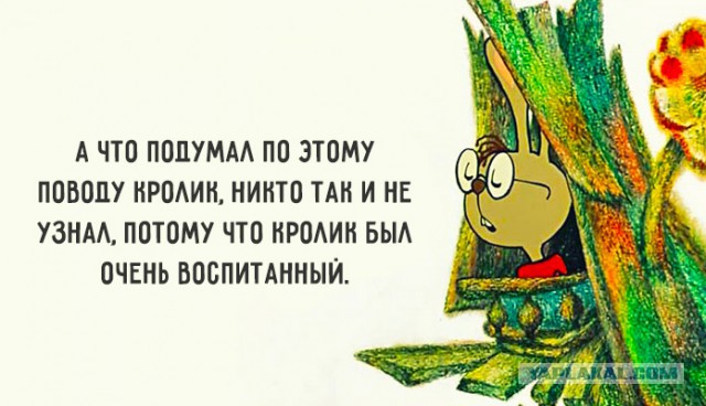 20 фраз из мультфильмов, которые подарили нам незабываемое детство