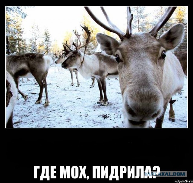 Где же я таких ищу?