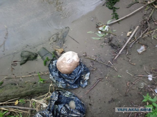 На берегу Москва-реки нашли десять пакетов с расчлененными телами