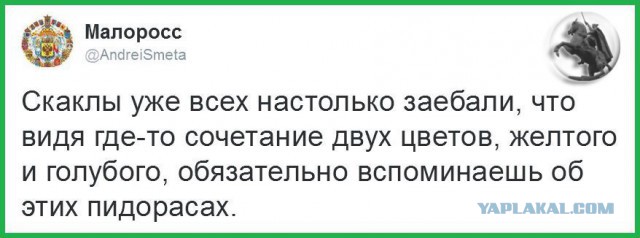 Смешные комментарии из социальных сетей 29.09.2017
