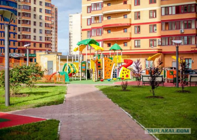 Как глава раменского соблюдает ПДД
