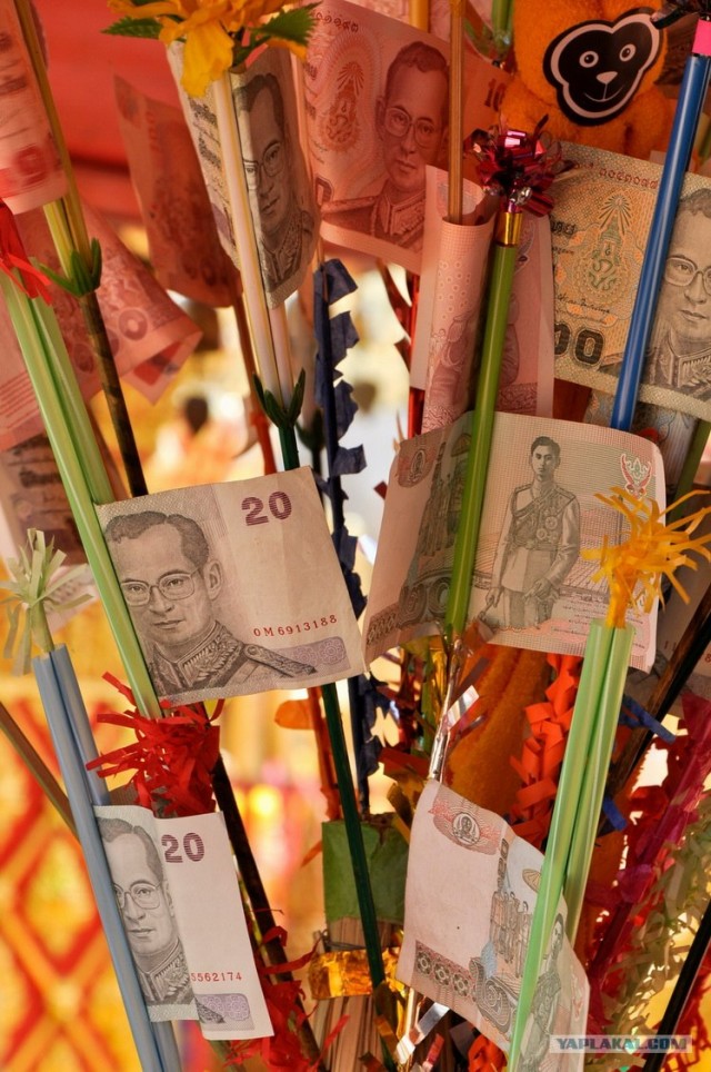 Чианг Май. Жемчужина Севера.