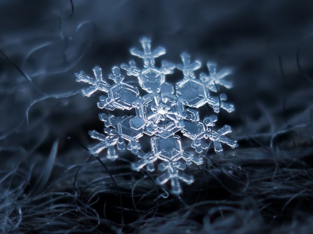 Макрофотографии снежинок, как отдельный вид прекрасного