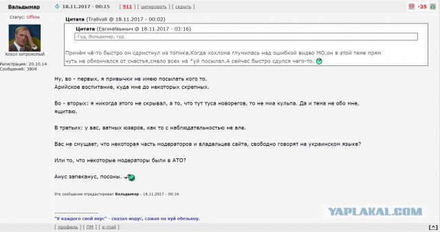 Неожиданная находка в глухом лесу