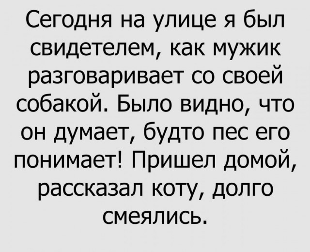 Нестандартный юмор