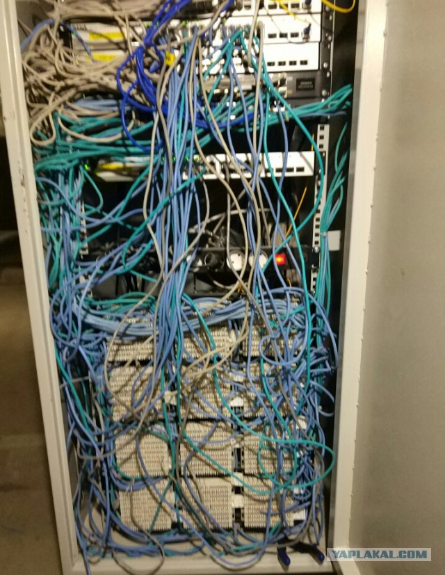 Любимая работа. Фотоотчет