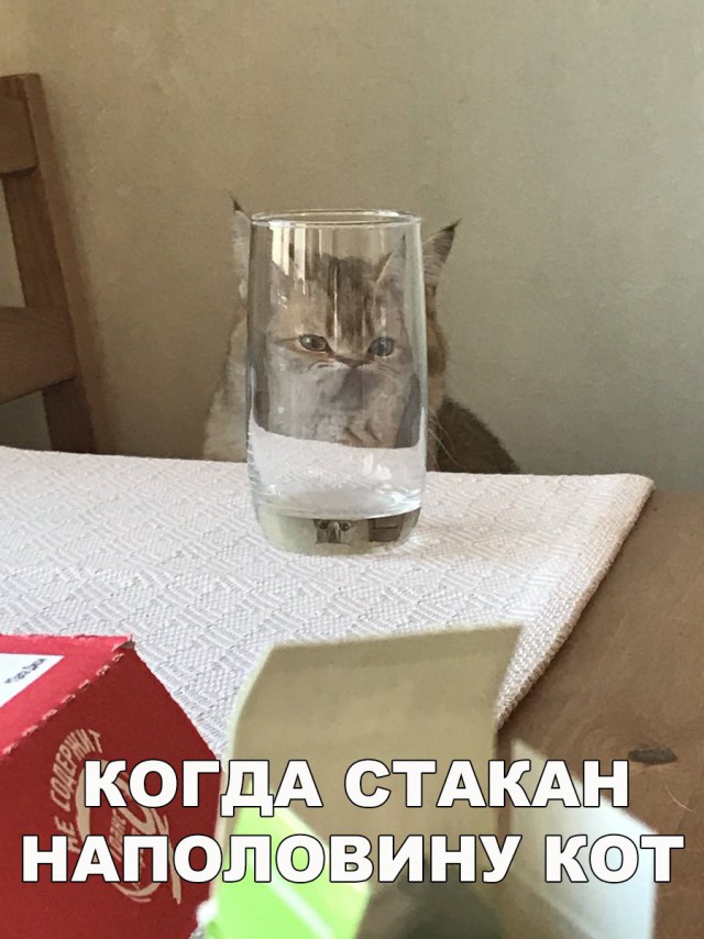 Нестандартный юмор