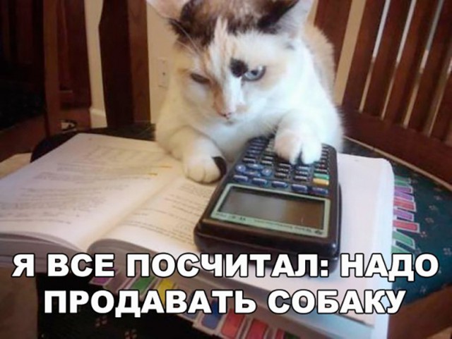 Нестандартный юмор