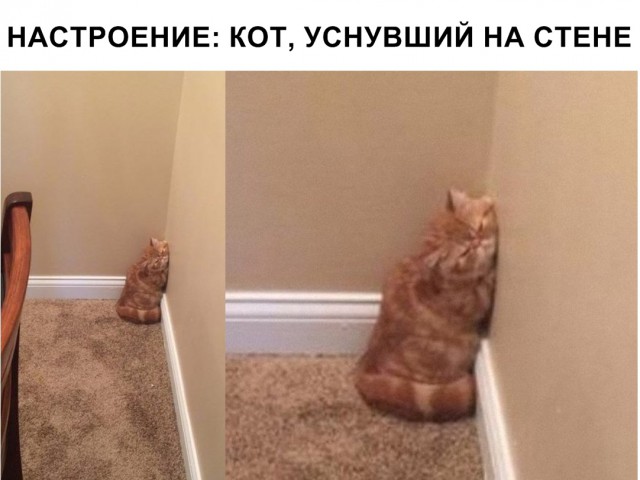 Немного милоты