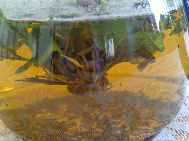 Кулинария 10 лет спустя. С Днем Рождения!