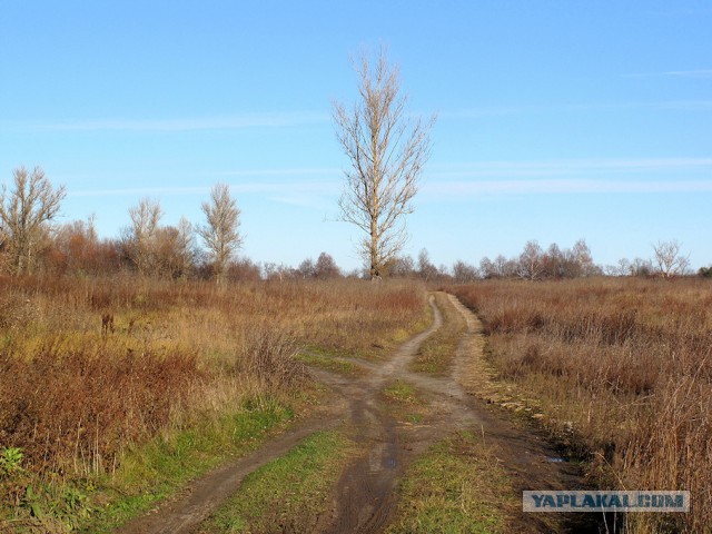 Красота сельских дорог