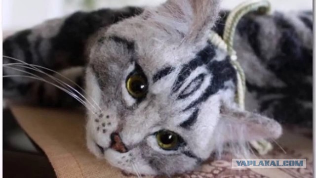 Валяем котов.