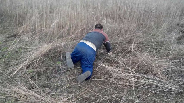 Скотсети и прочие интернеты 25.04.2019
