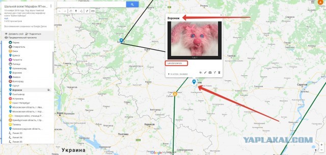 ЯП вокруг света. Германия, Австралия, Китай...