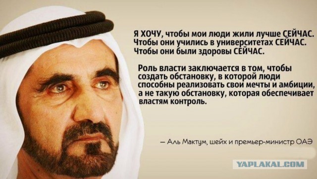 Дорогие борцы с режимом, старайтесь больше времени уделять учебе и работе.