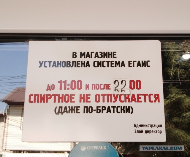Перлы 12.08.2019